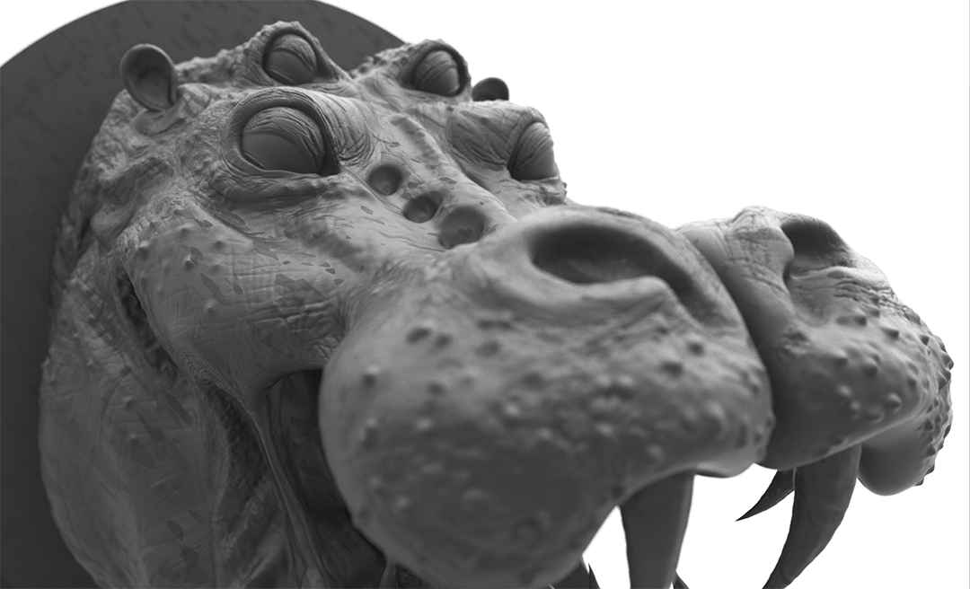DANGERHIPPO_CLOSEUP_smaller.jpg