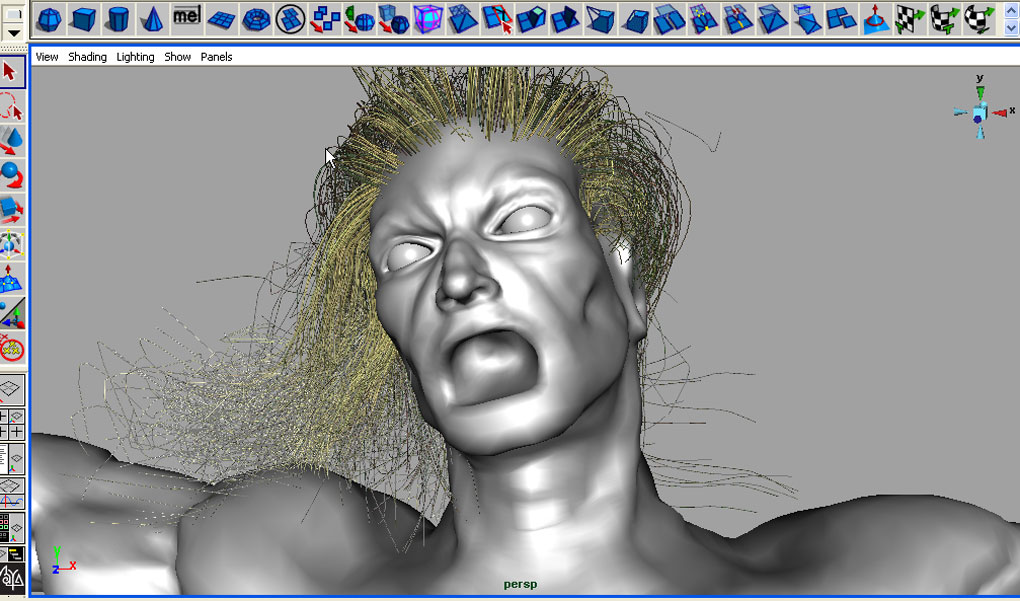 hair1.jpg