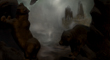 GRIZZLY FALLS 21.jpg