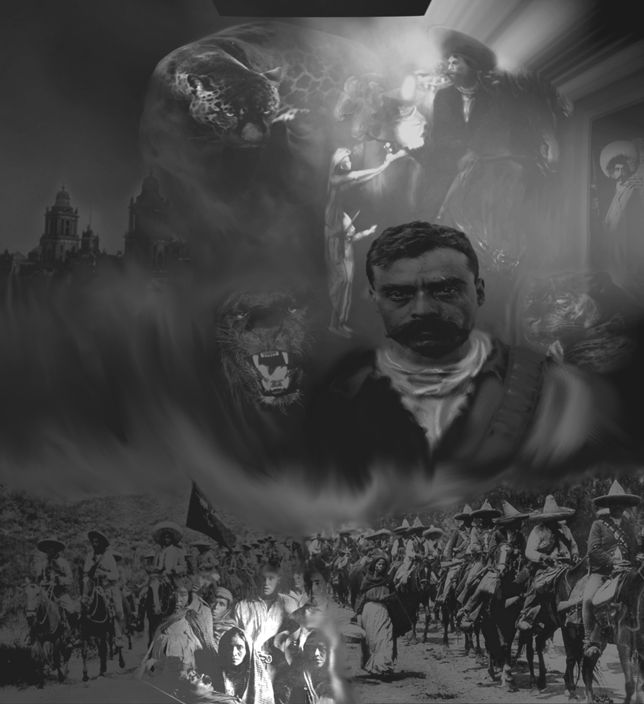 ZAPATA-ROOM-43.jpg