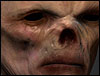 traitfinalzbcthumb.jpg