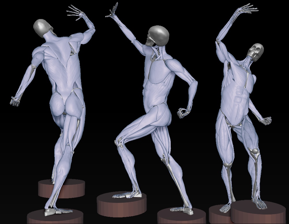 ecorche_views_djskin.jpg