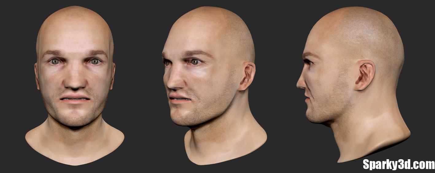 OS_head_sculpt_with_perspective.jpg