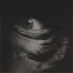 thumb.jpg