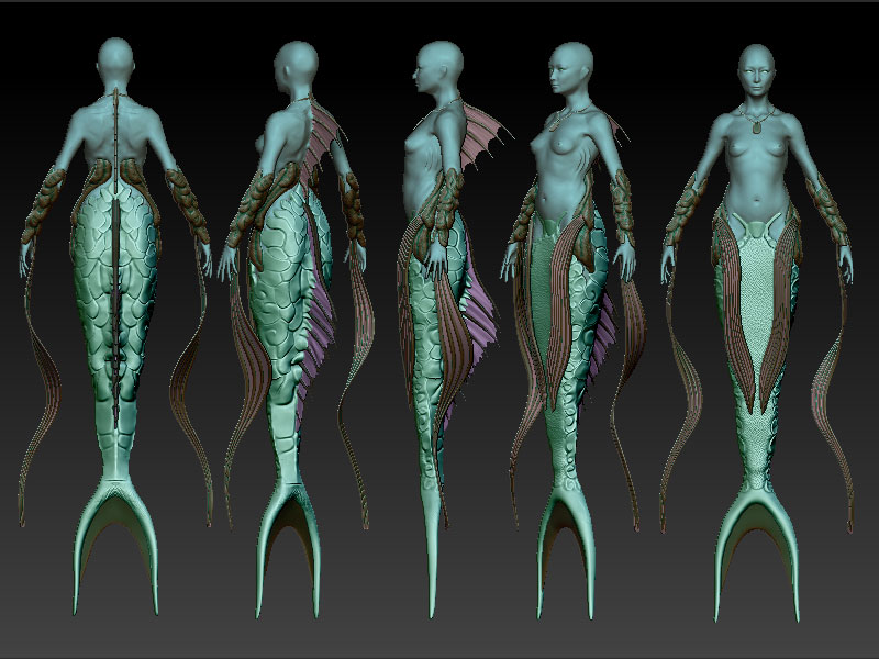 merr.jpg