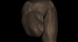 ANATOMY STUDY SCULPTRIS THUMBNAIL.jpg