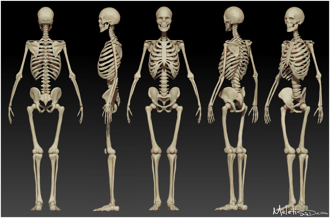 Skeleton_mini.jpg