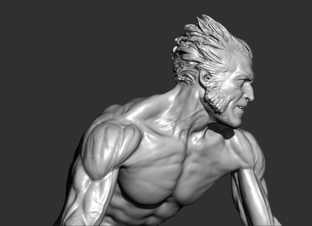WOLVERINE_ren_8.jpg