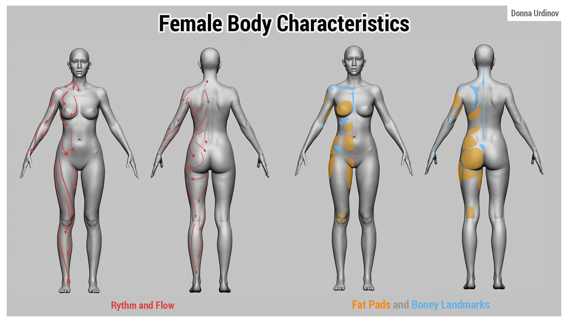 FemaleBodyCharacteristics_donnaUrdinov.jpg