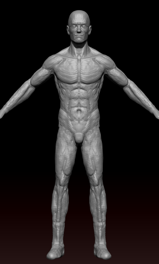 ZBrush Document.png