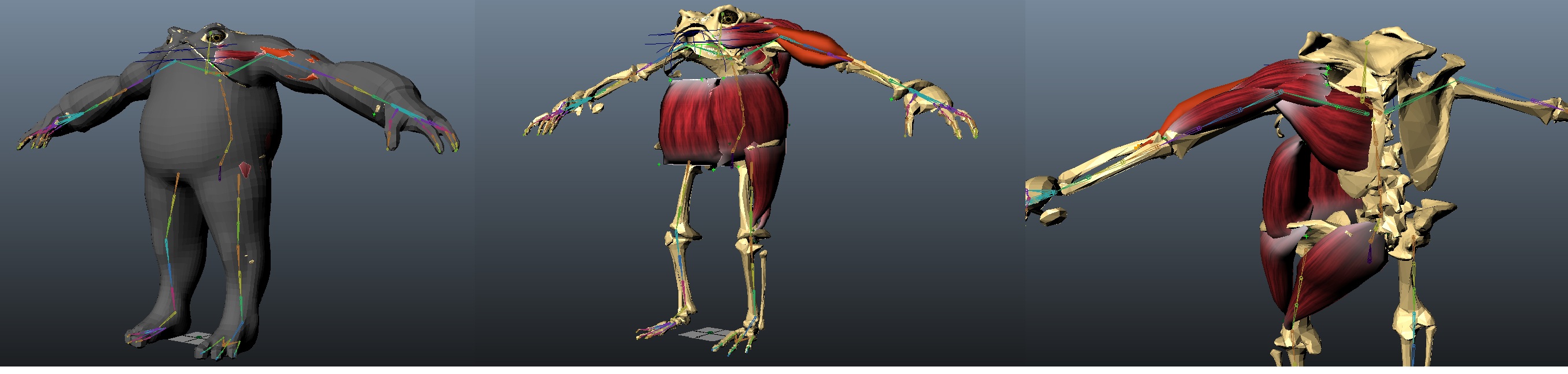 Poliwraith_progression_5.jpg