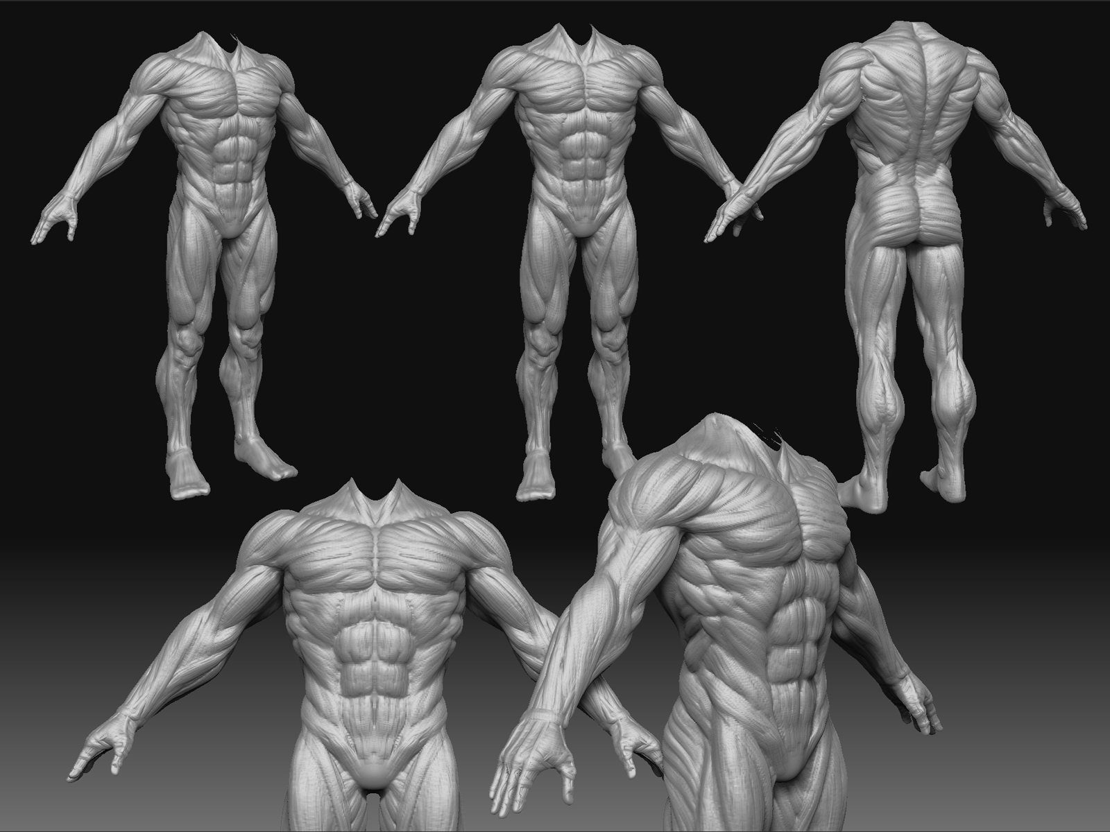 Как нарисовать человека в zbrush