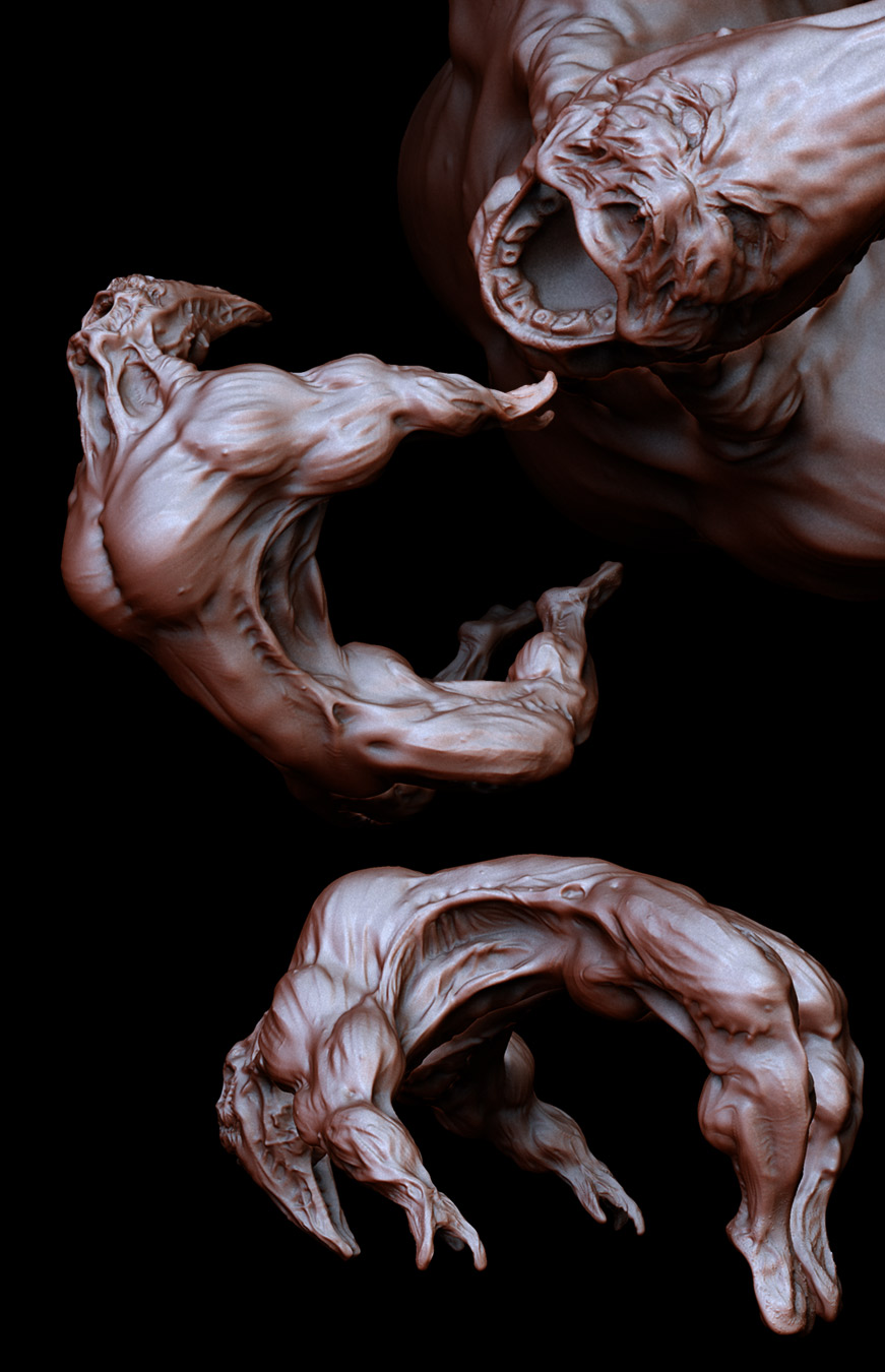 spine04.jpg