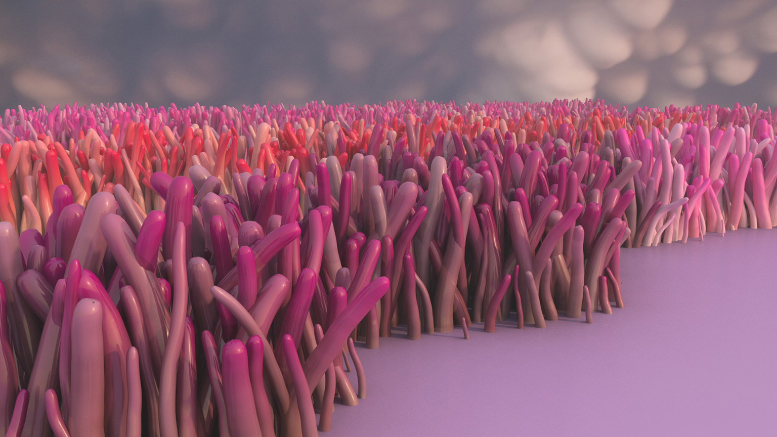 pink_grass_test_1.jpg