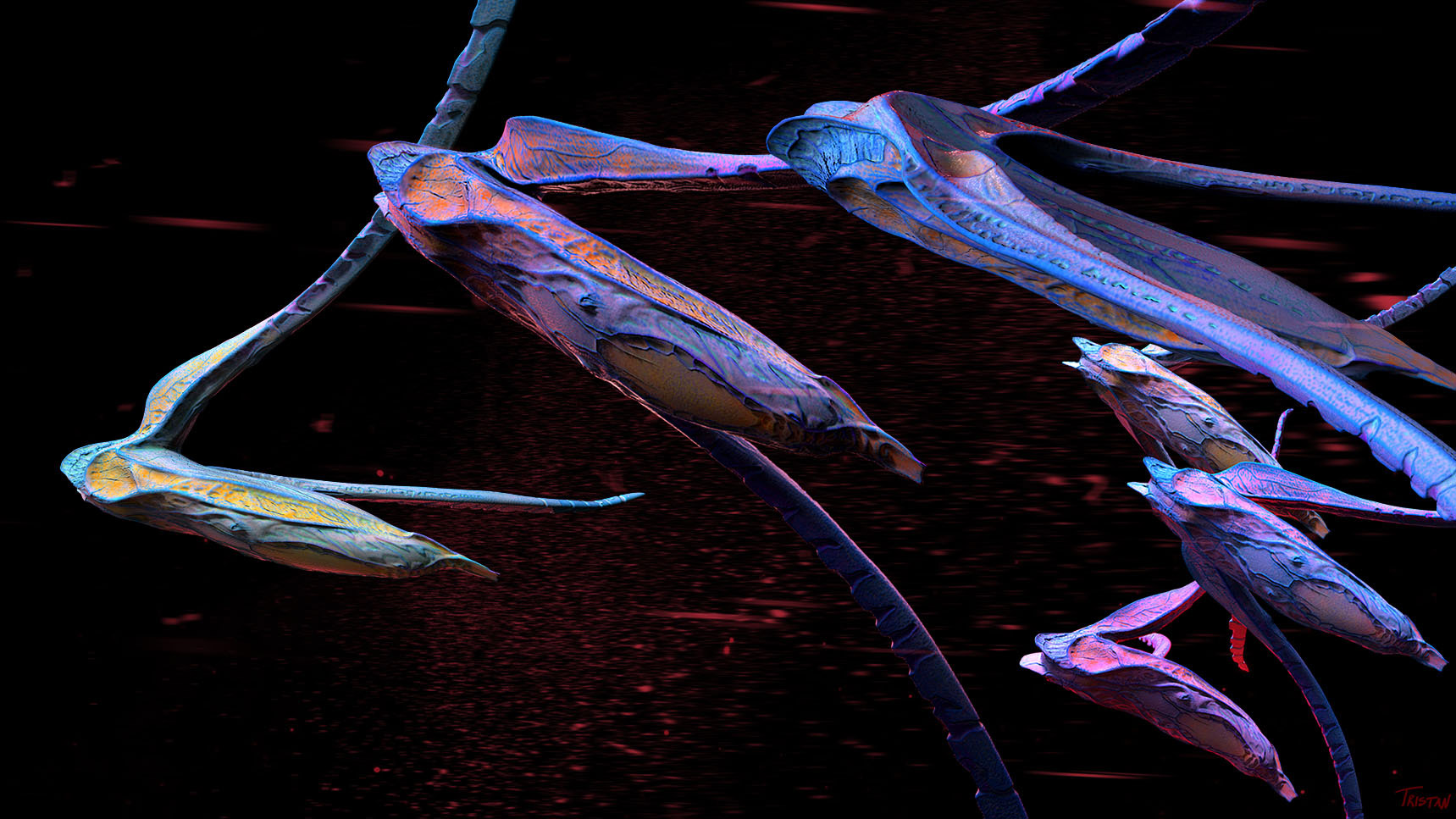 Space_Farer_2_WEB.jpg