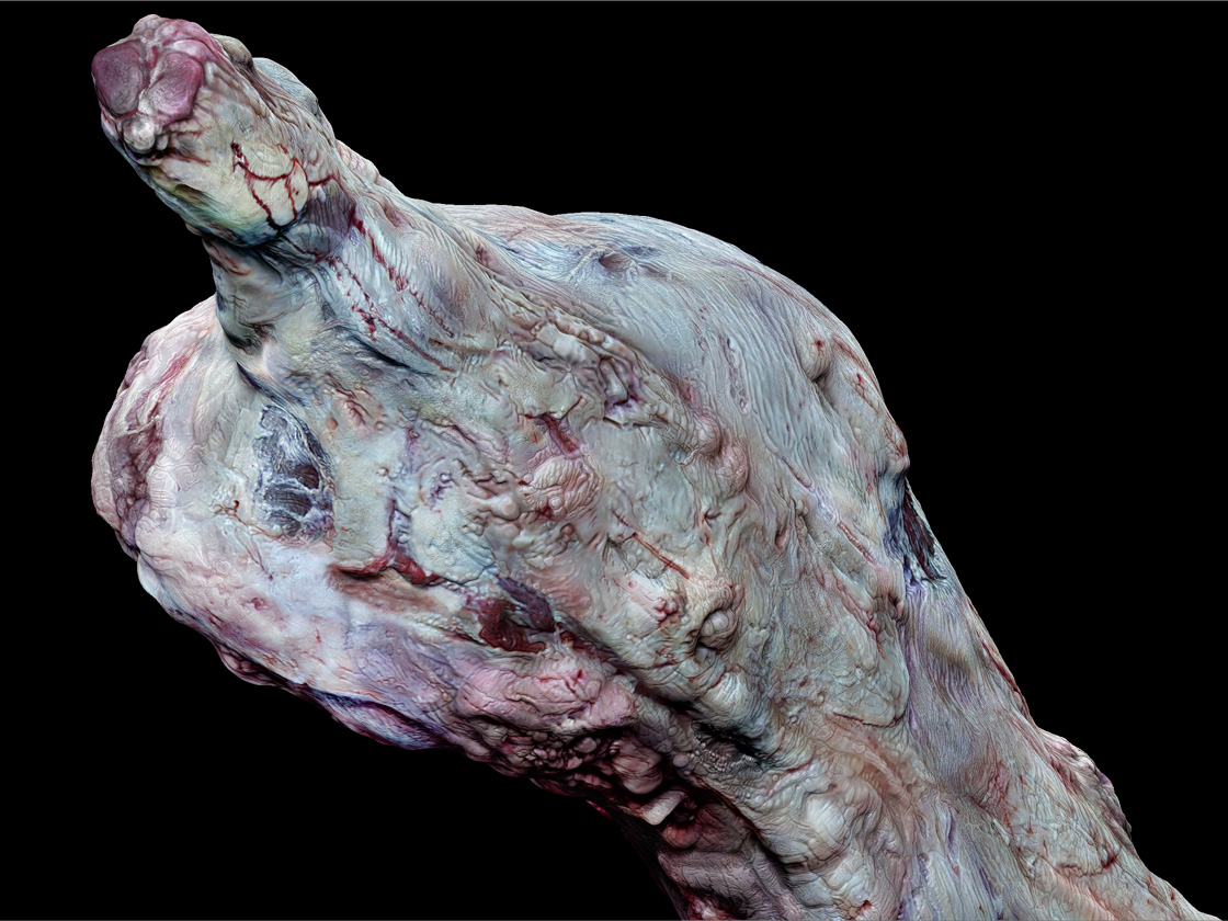 Meat3.jpg
