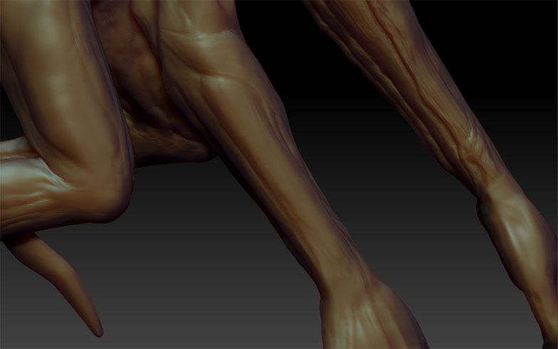 NewLvL_forearm.jpg