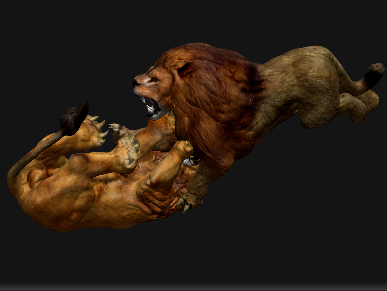 LION FIGHT 13.jpg