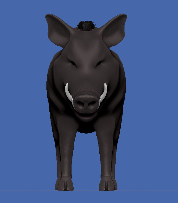 boarWip16bEDIT.jpg