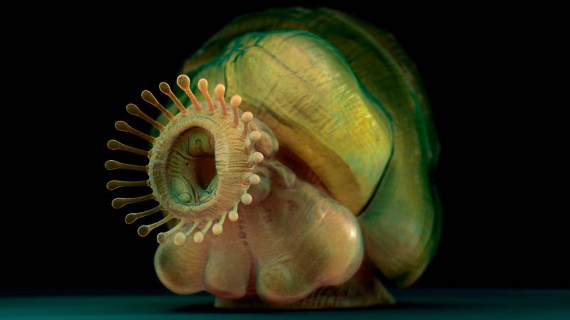 snailRender02.jpg