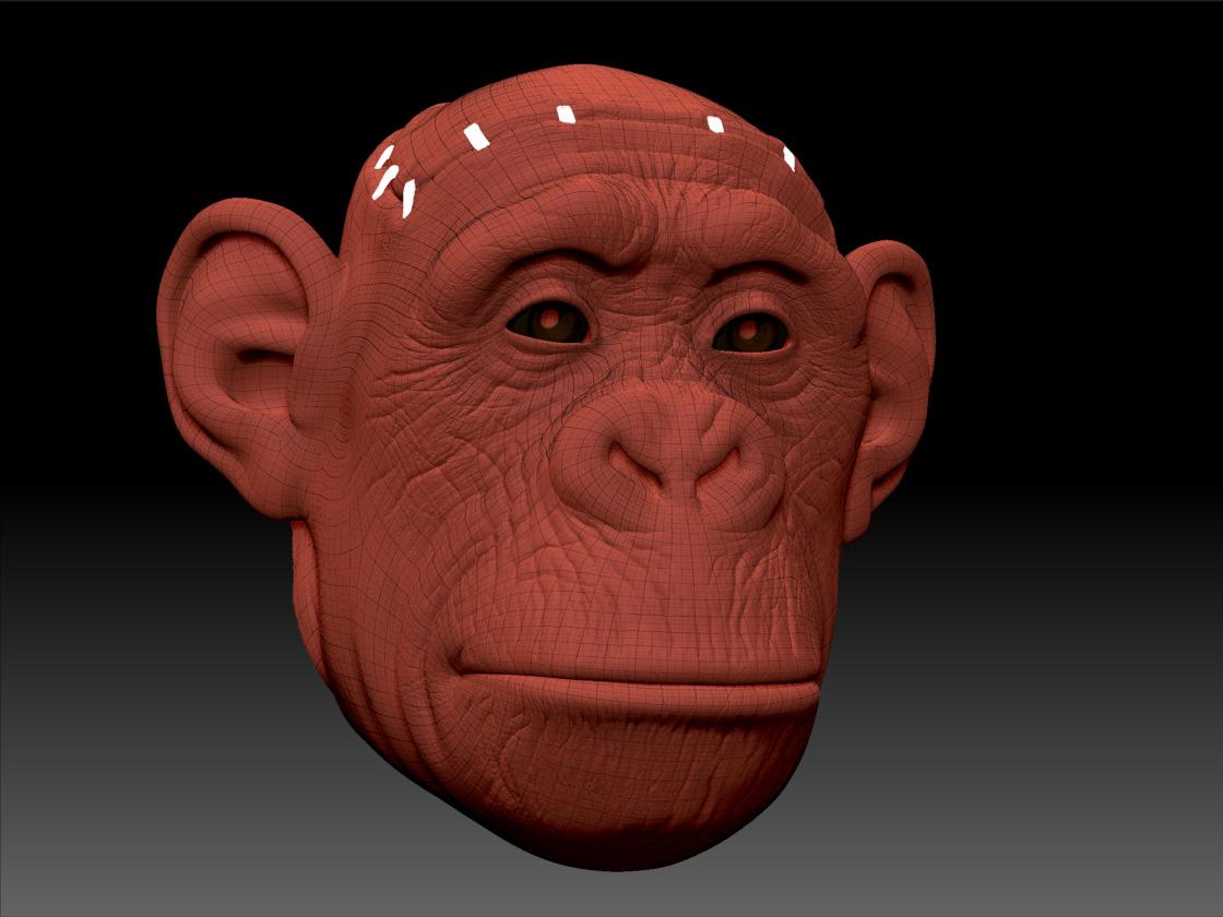 MonkeyFaceRobot_47_ZB_wire_01.jpg