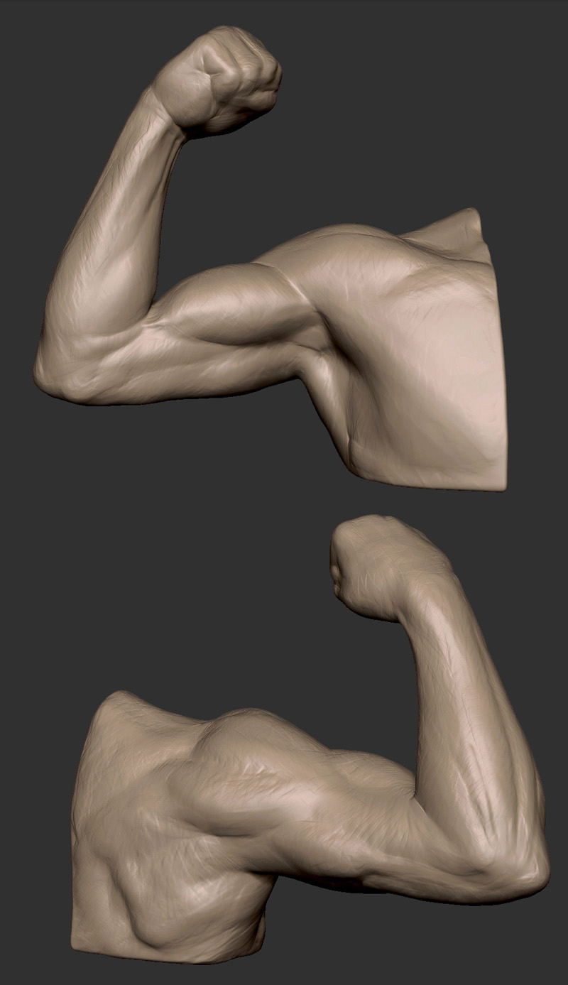 Arm01.jpg