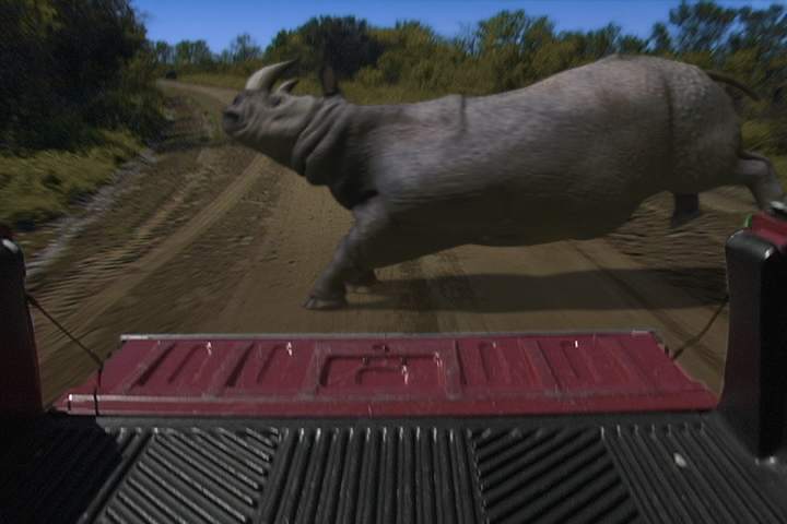 rhino_side.jpg
