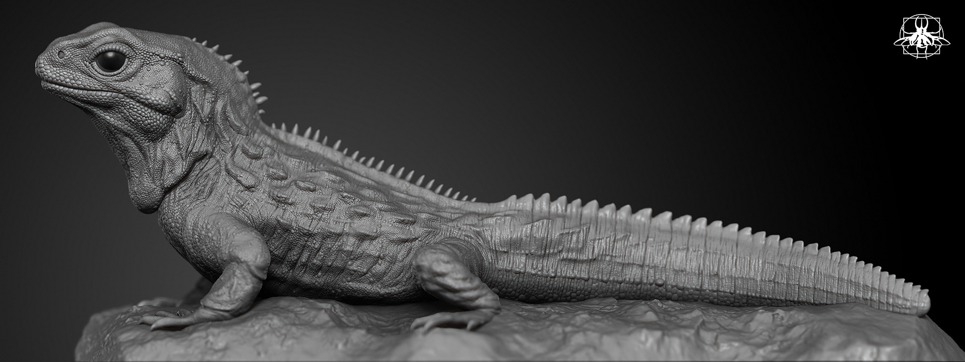 Tuatara_06.jpg