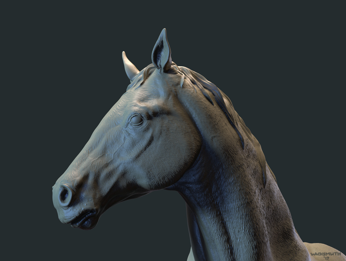 hannoveraner_sculpt_render_01_4web.jpg