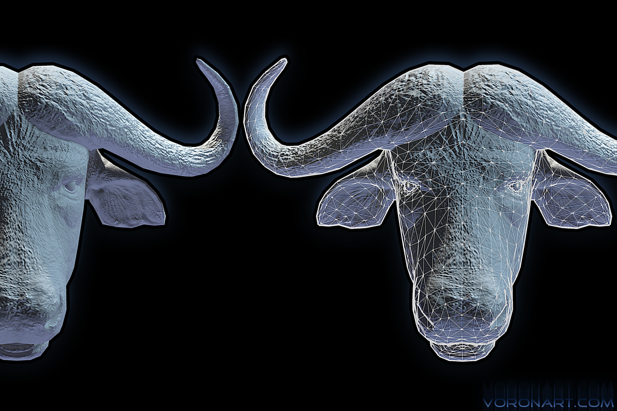 cape-buffalo_wire-head01.jpg