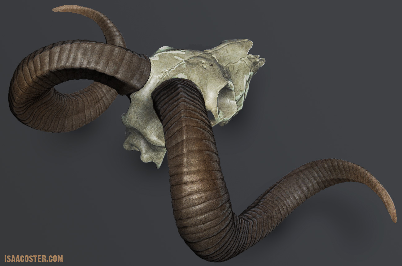 isaac_oster_zbrush_ram_back.jpg