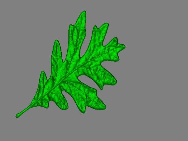 ZBrush Document.jpg