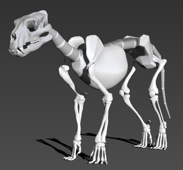 Lionskeletonskull.jpg