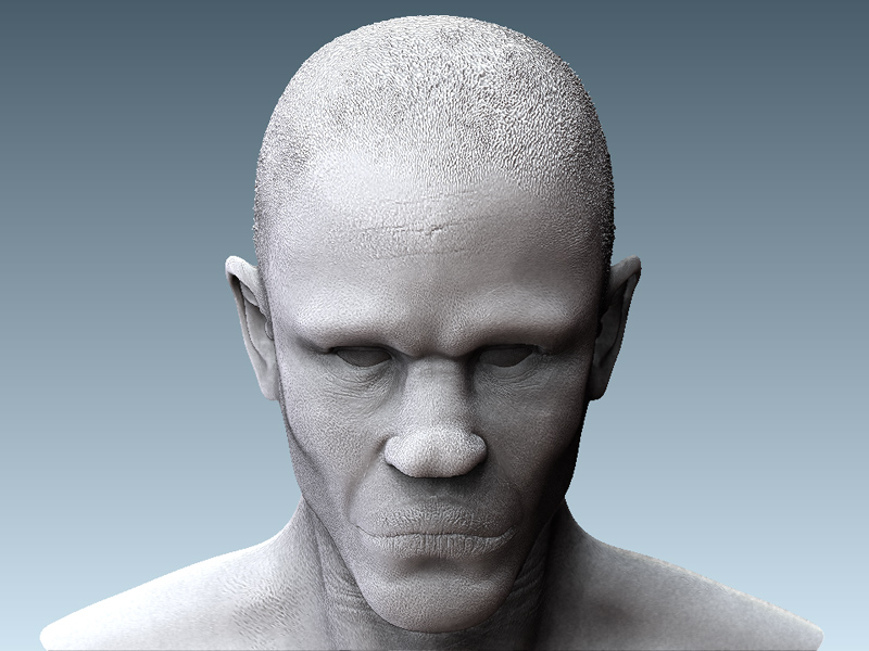 head1-2.jpg