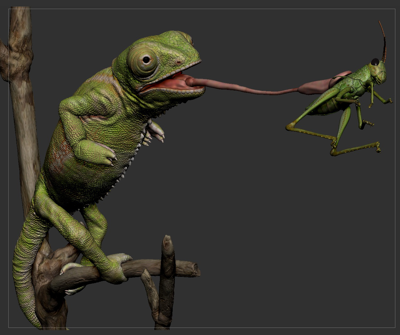 Ztool 2.jpg