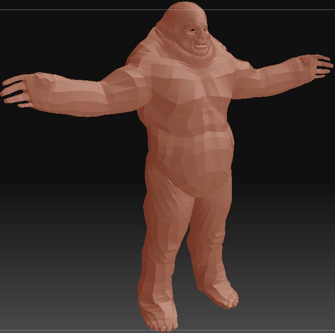 Id_commando1.JPG