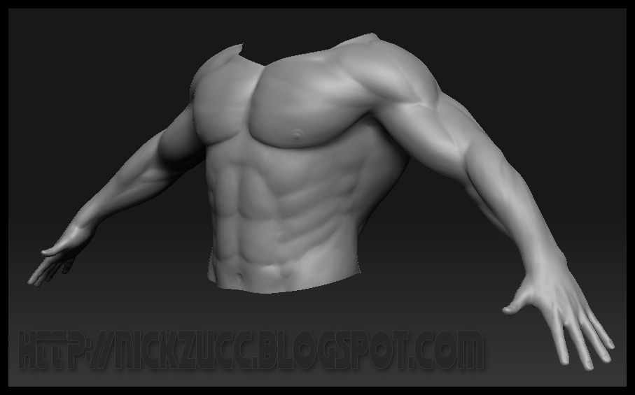humanMaleAthletic_WIP_002.jpg