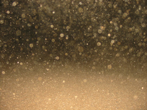 yellow_dust.jpg