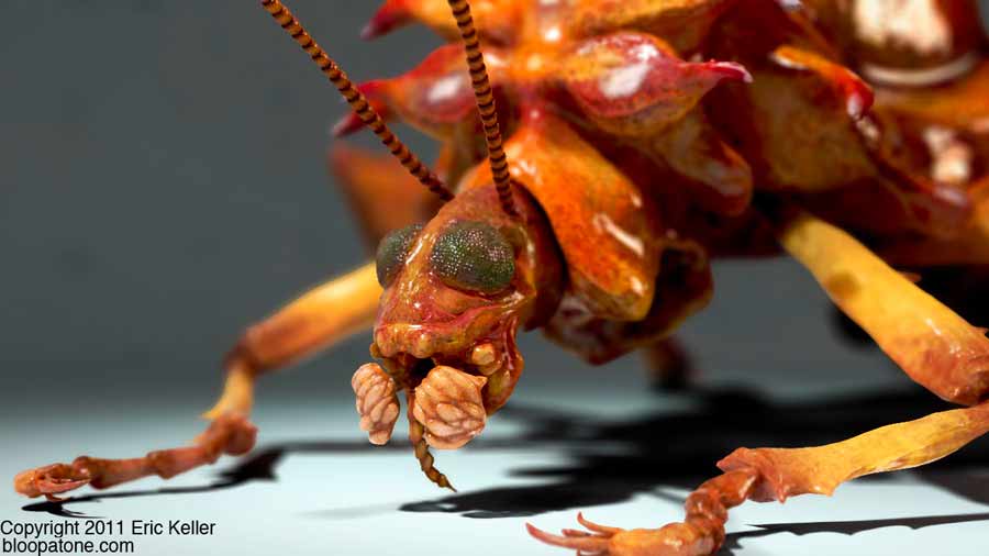 small_sfariBug_02.jpg