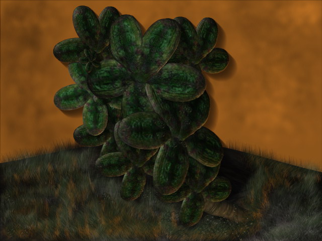 flor end.jpg