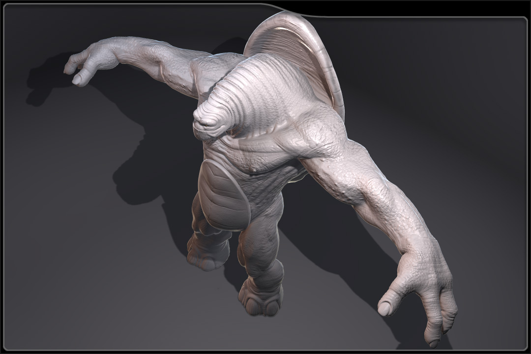 tort_flat_grey_body_render_03.jpg