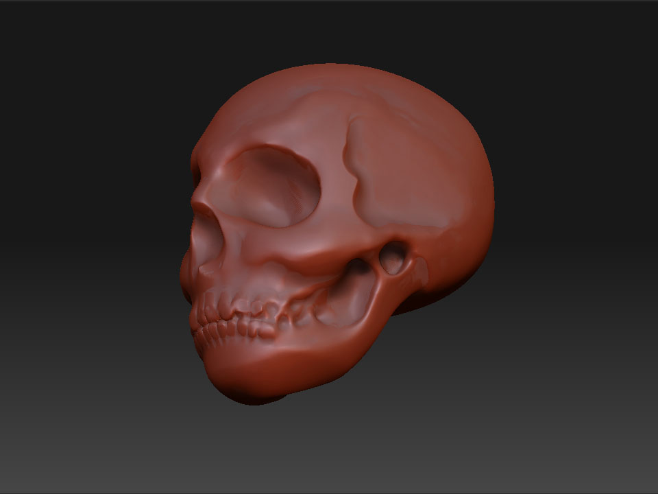 three quarter view signature skull.jpg