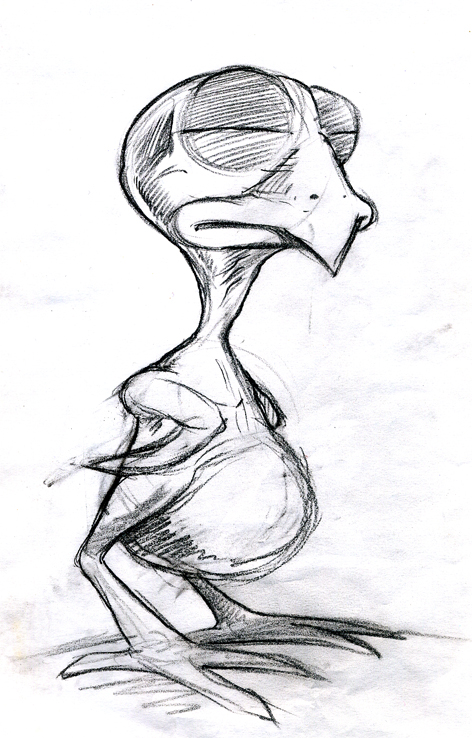 chick_sketch.jpg