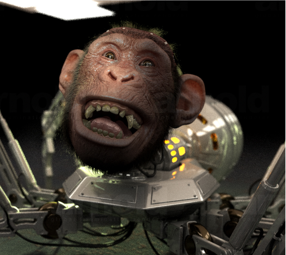MonkeyFaceRobot_61.jpg