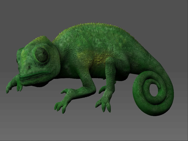 lizard01.jpg