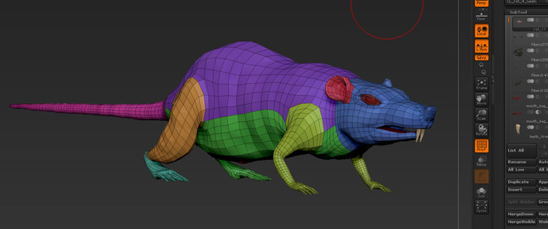 rat_topo.jpg
