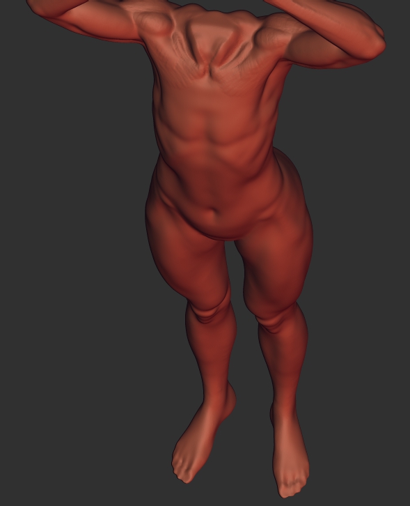 torso.jpg