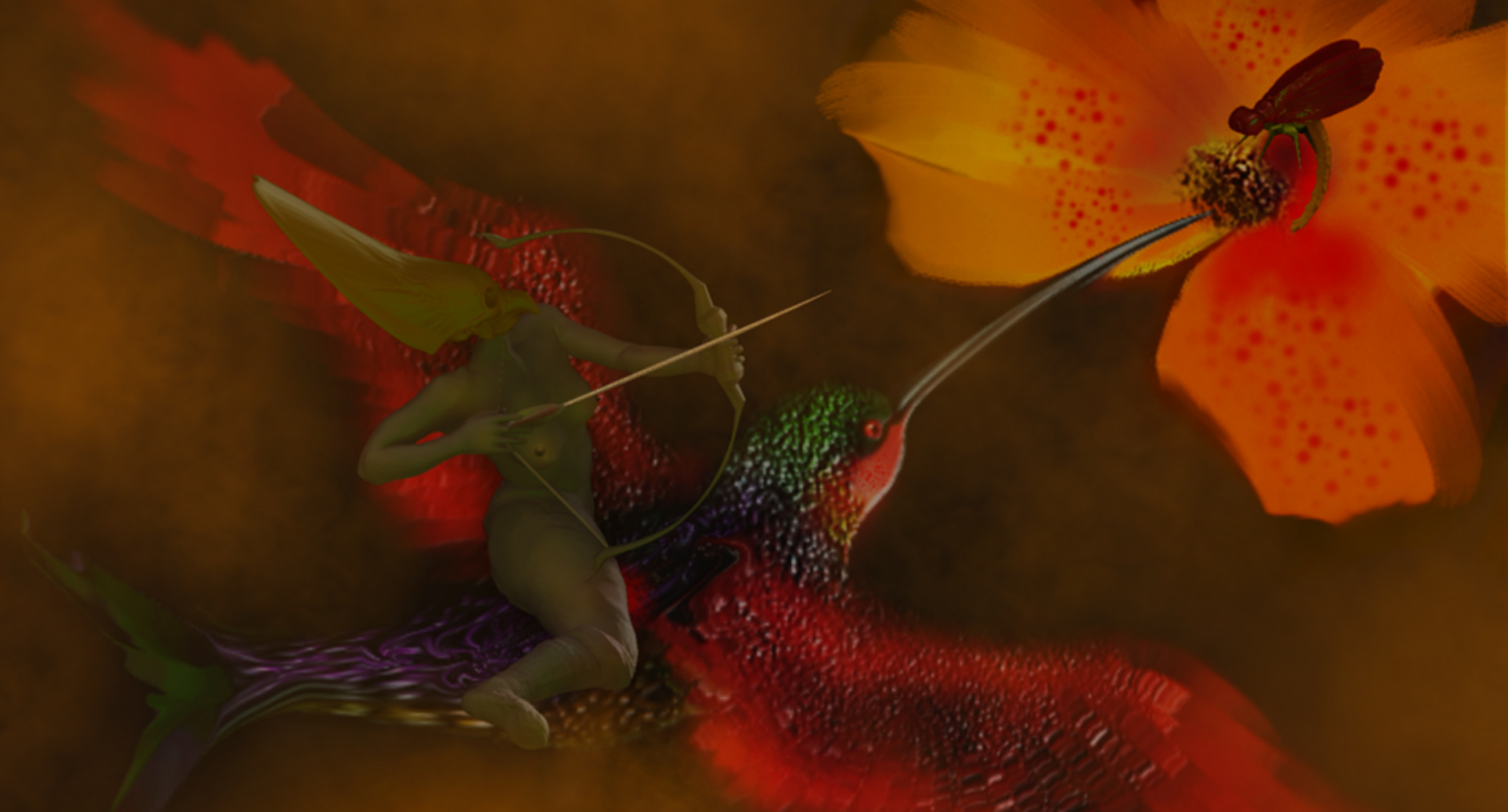 HUMMINGBIRD 30.jpg