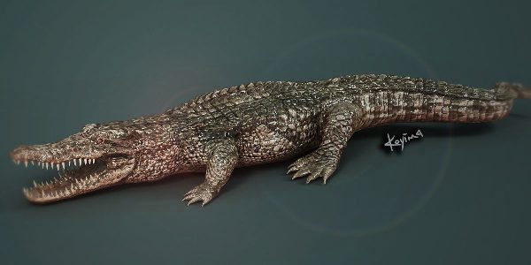 gator_koyima.jpg