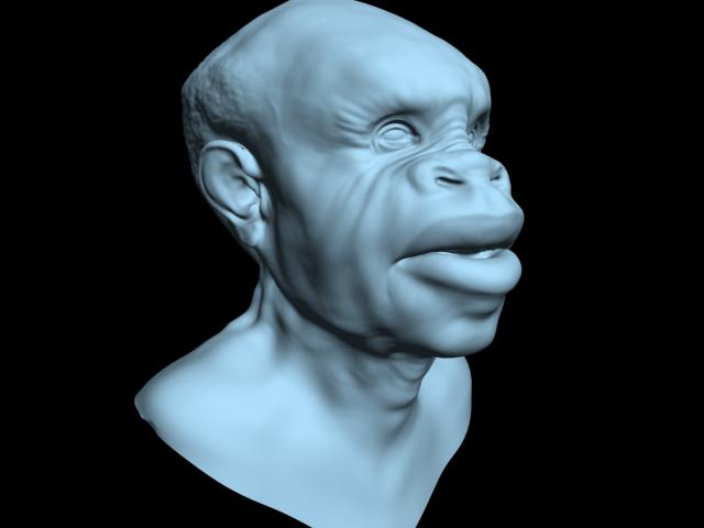 headdisplacetest_01